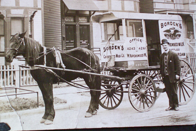 Ludwig Johnson horse